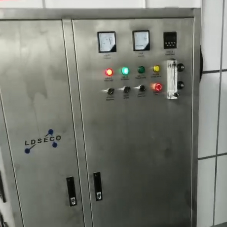 北京东兴堂车间用200g臭氧发生器